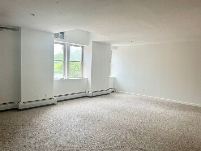 Building Photo - 205 Chapin St