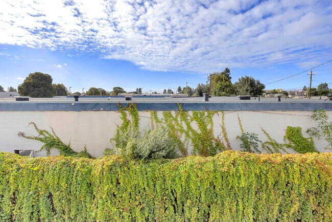 Building Photo - 37335 Duckling Ter