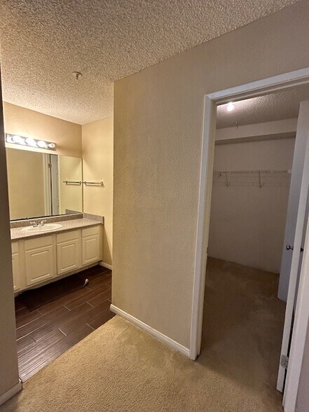 Bathroom and Walk-In Closet - 8889 Caminito Plaza Centro