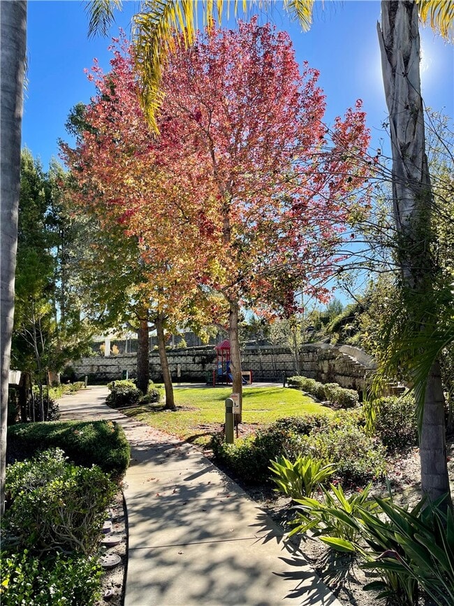 Building Photo - 5040 Codorniz Way