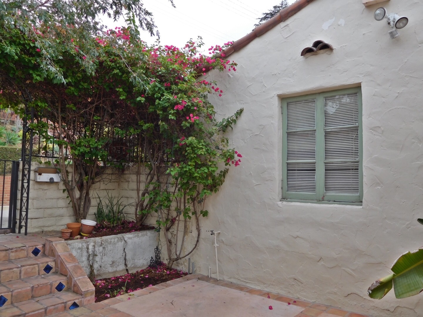 Building Photo - 1621 Silverwood Ter