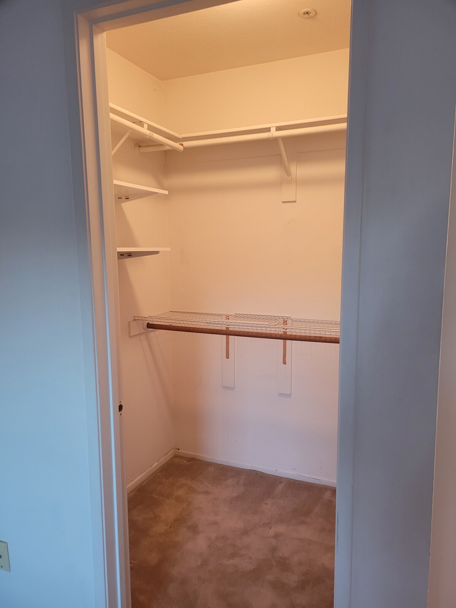 2nd bedroom walk in closet 2 - 7192 Sappada Pl