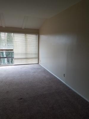 Livingroom-new shutters - 12830 Burbank Blvd