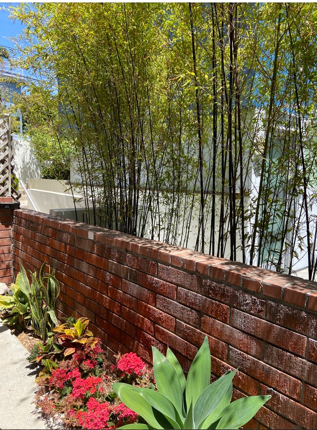 Private Patio - 1823 11th St