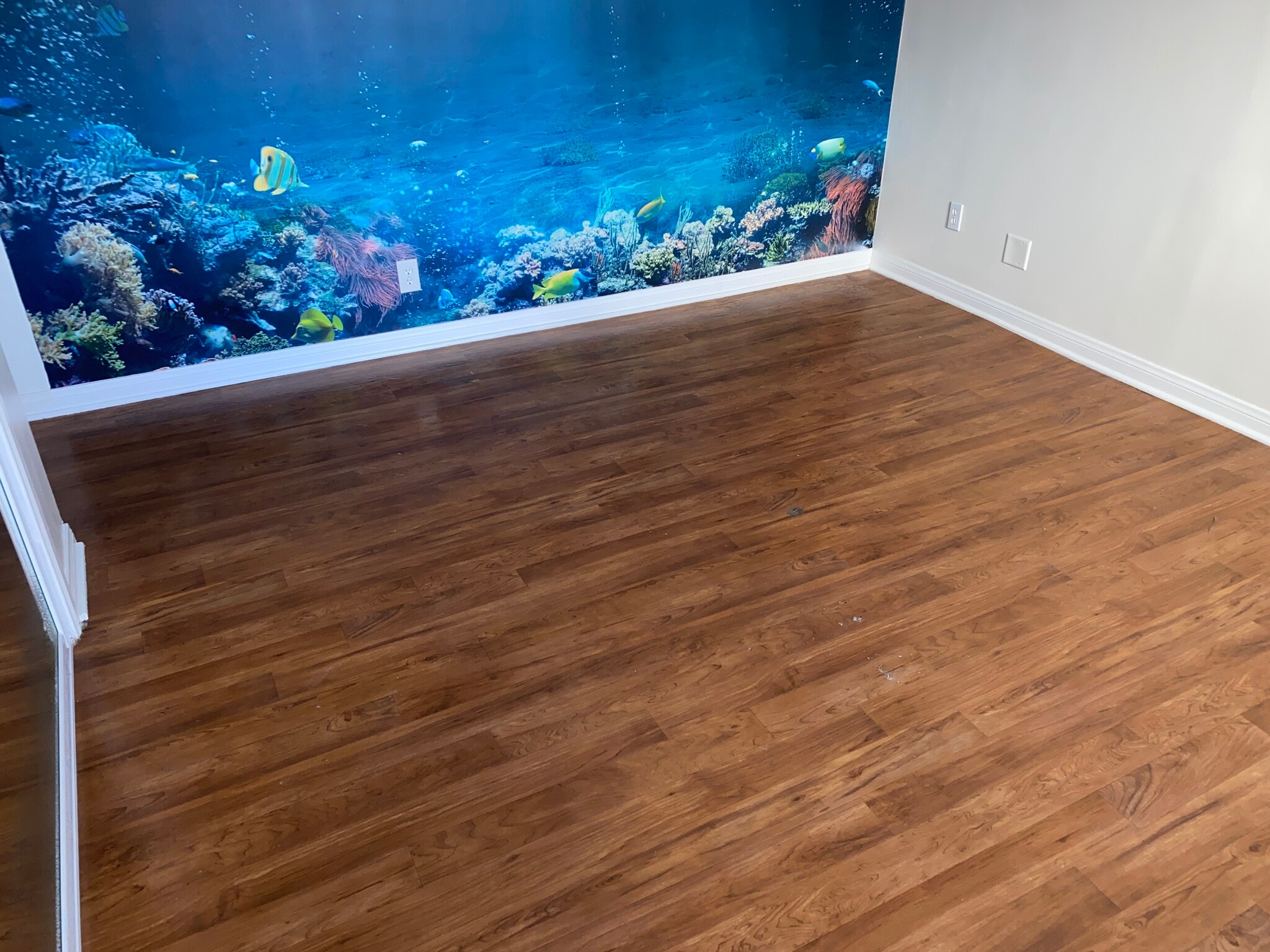 Bedroom Mural - 2108 Marshallfield Ln