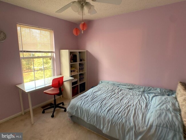 Building Photo - 41 Ketley Pl