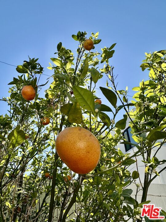 Building Photo - 128 S Swall Dr