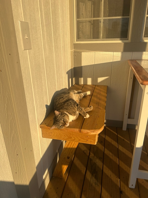 Building Photo - 373 T Johnson Rd