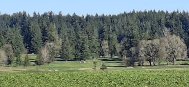 Building Photo - 31741 NW Blake Terr