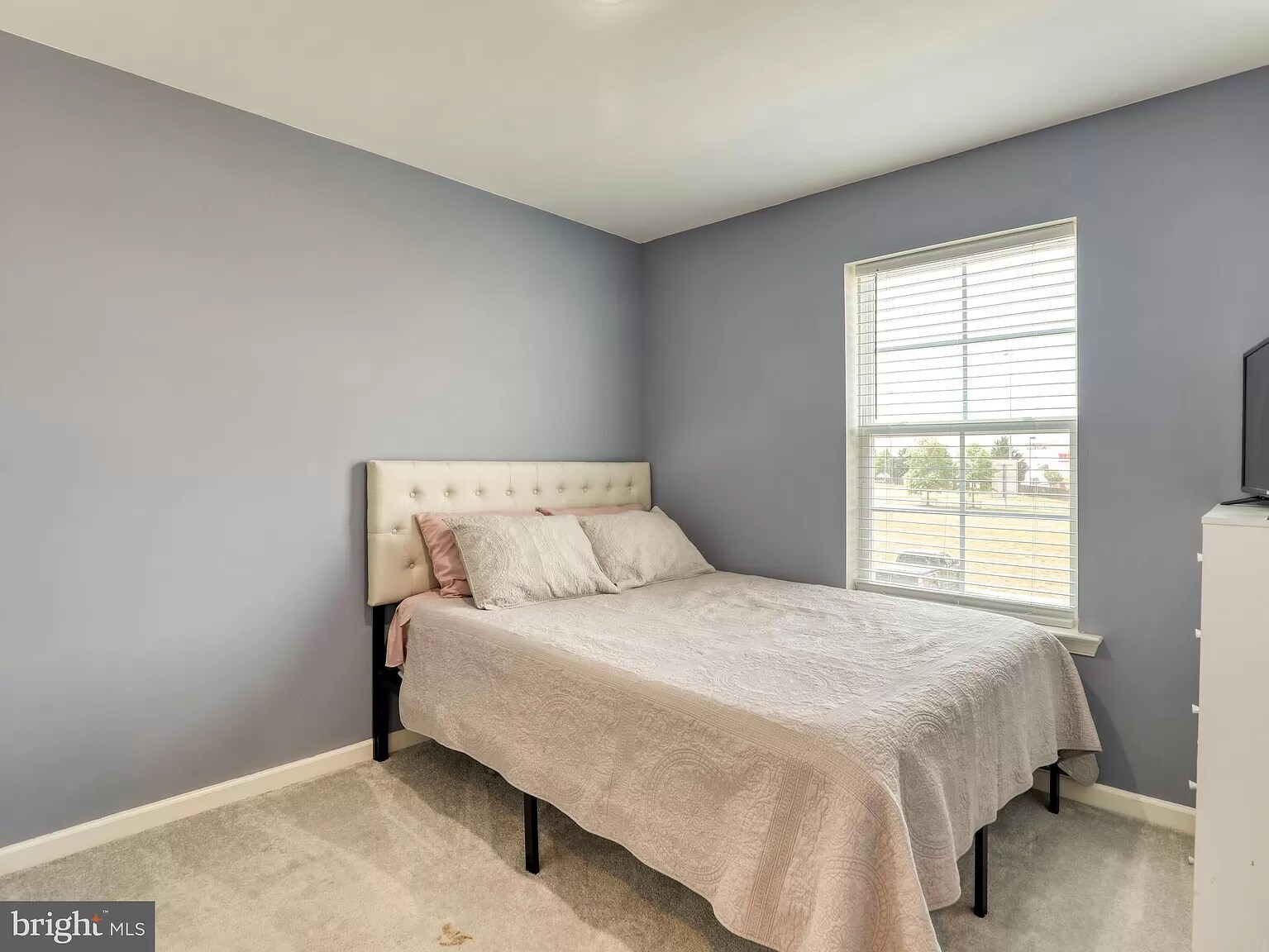 Building Photo - 658 Thumper Dr