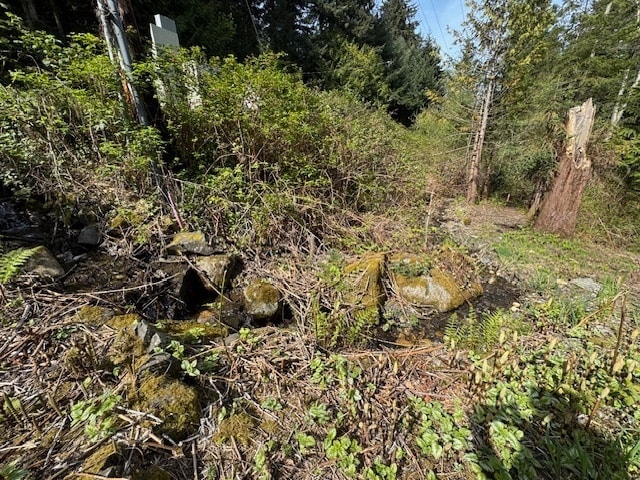 Building Photo - 1258 Island Dr