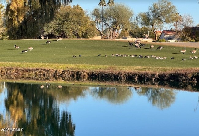 Building Photo - 6900 E Ironwood Dr