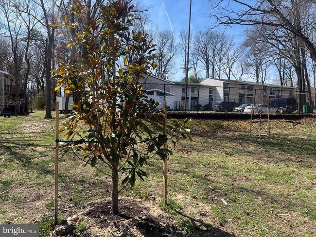 Building Photo - 8613 Seasons Way