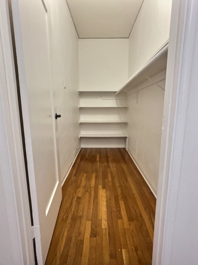 Huge walk-in closet in hallway - 545 N Vista St