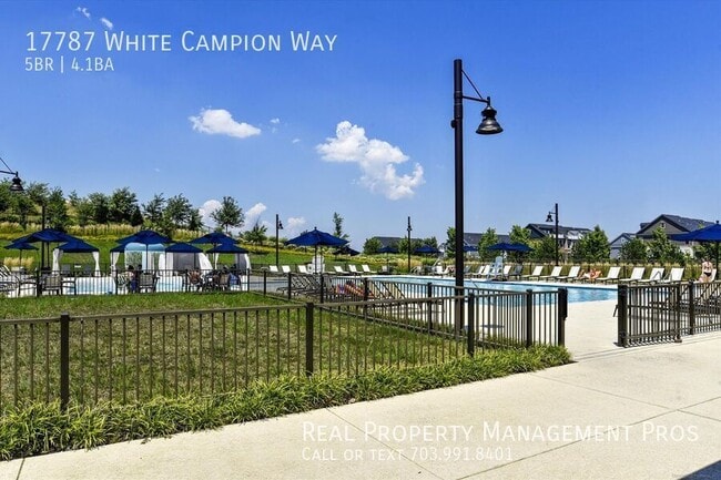 Building Photo - 17787 White Campion Wy