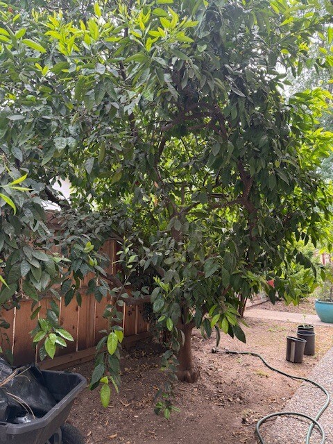 Building Photo - 812 Greenwich Dr