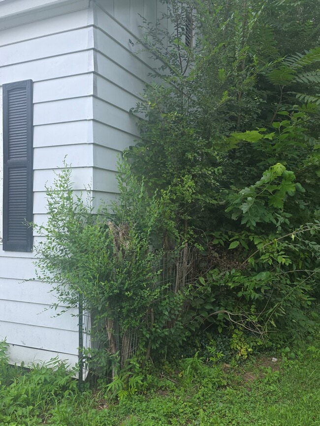 Building Photo - 1021 Maple St