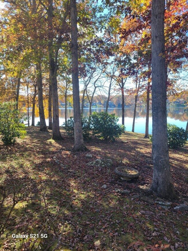 Building Photo - 148 Lakewood Dr