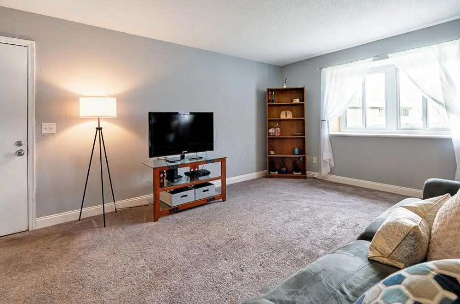 Living Room - 4819 Middletowne St