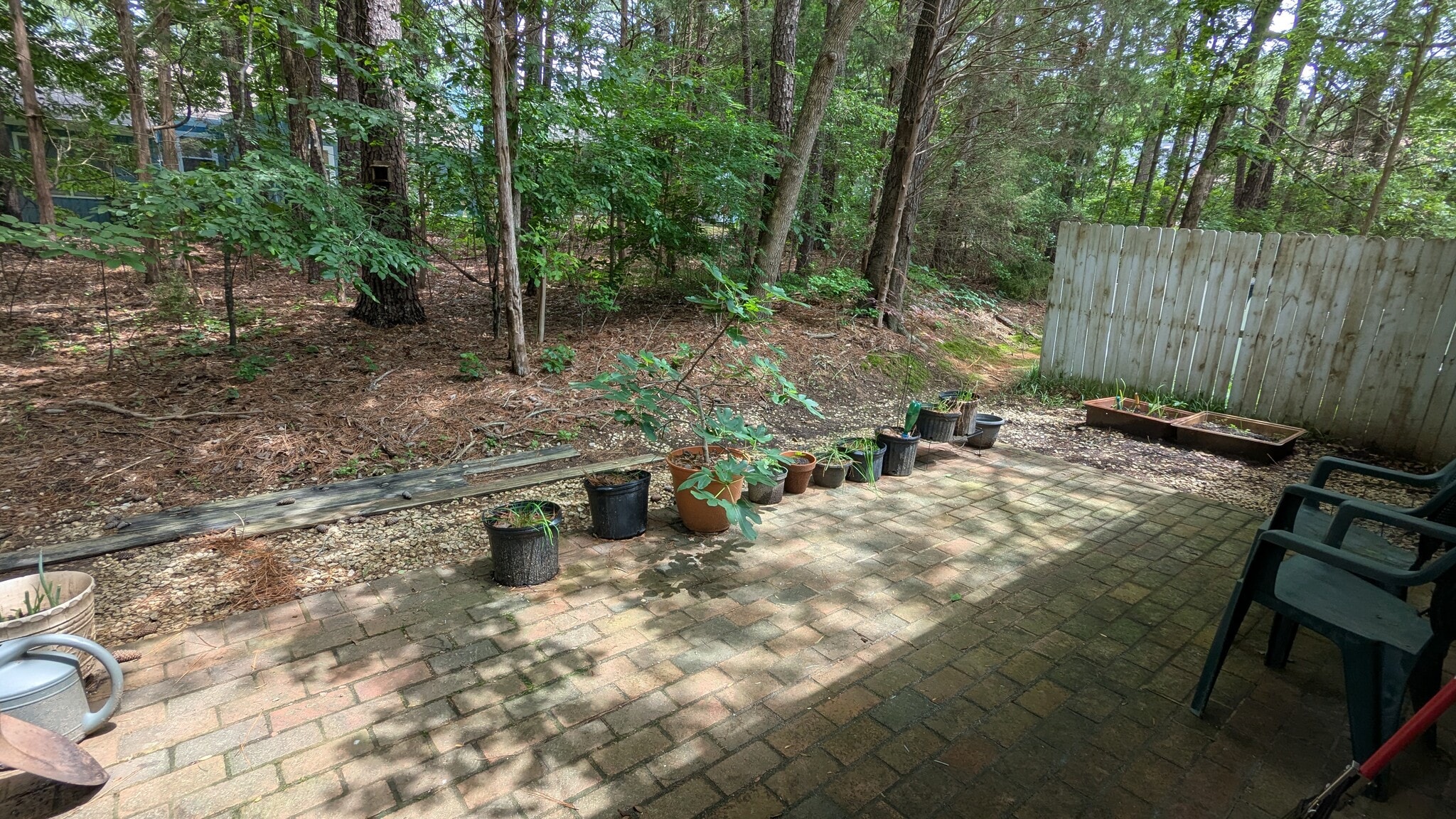 Building Photo - 55 Candytuff Ln
