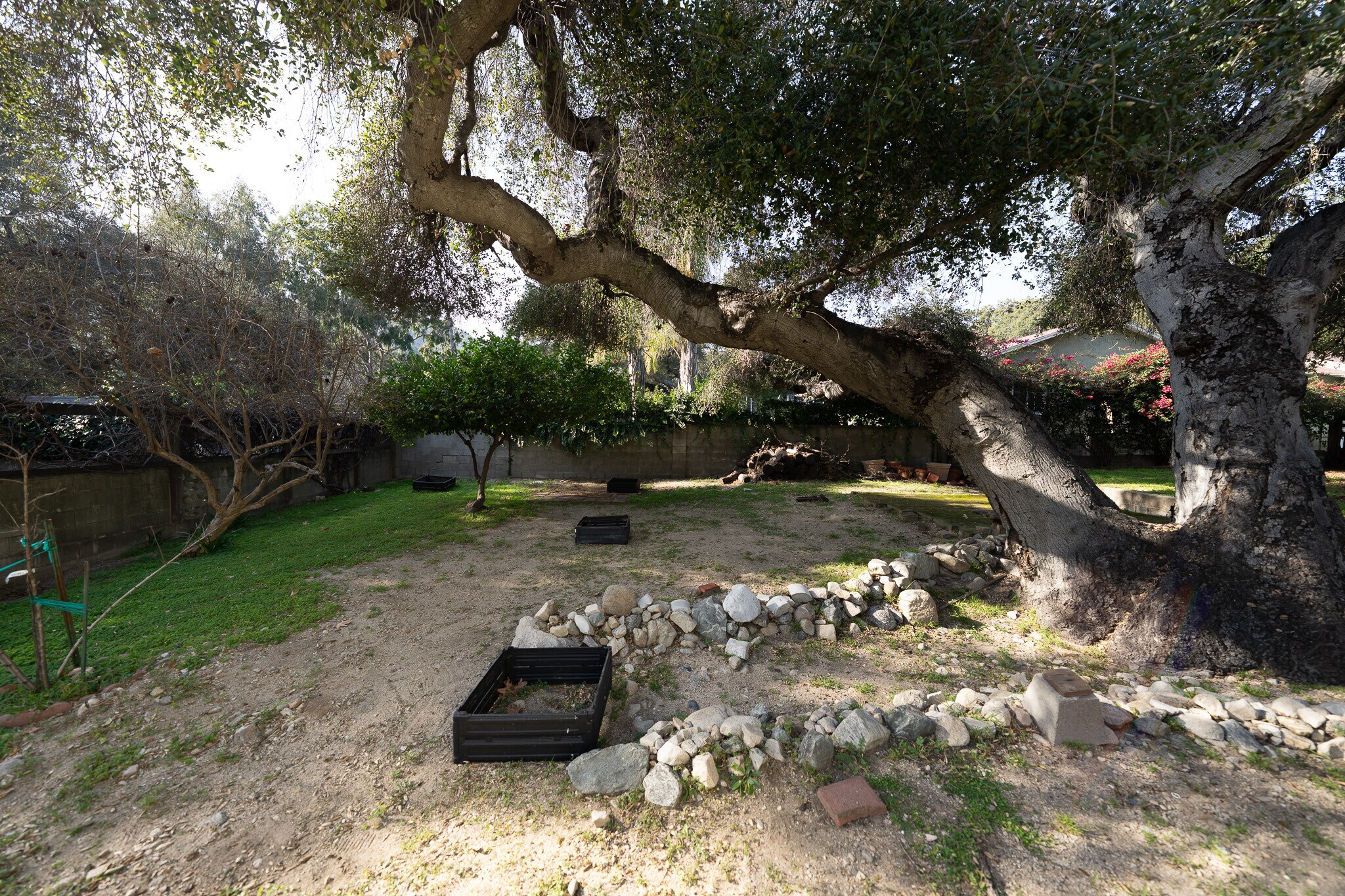 Building Photo - 3106 Honolulu Ave