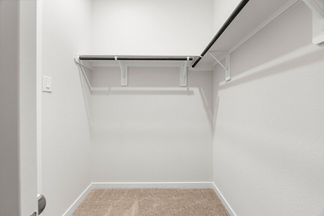 Building Photo - 302 Brazen Forest Trl