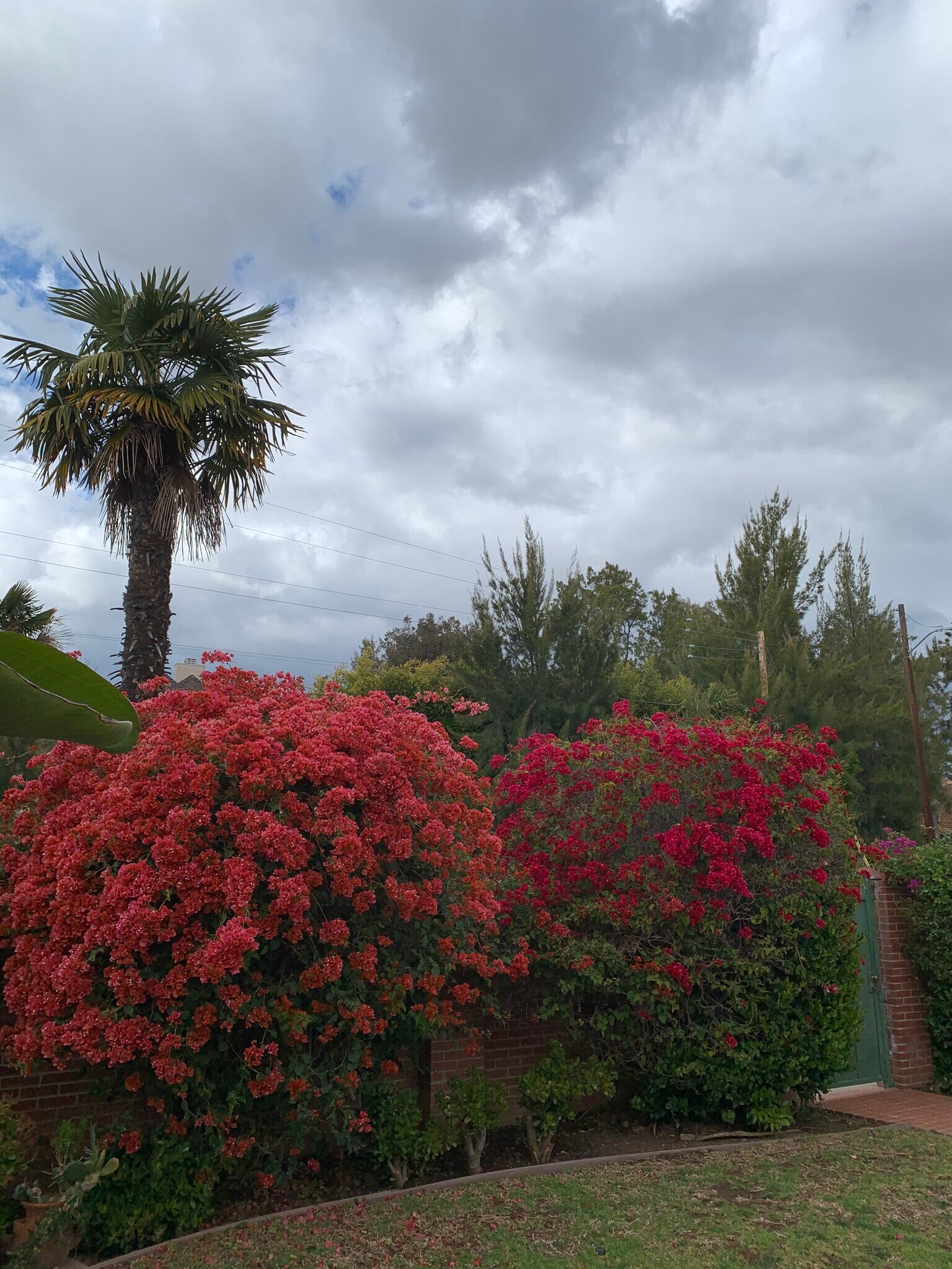 View from street. - 1102 Centinela Ave