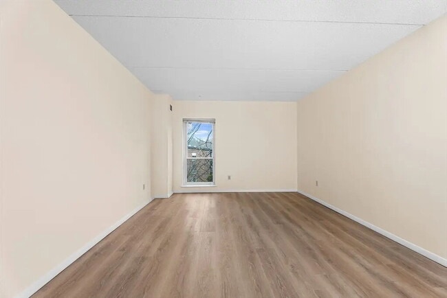 Building Photo - "Spacious 1-Bedroom Retreat with Gleaming Hardwood Floors in Chestnut Hill"