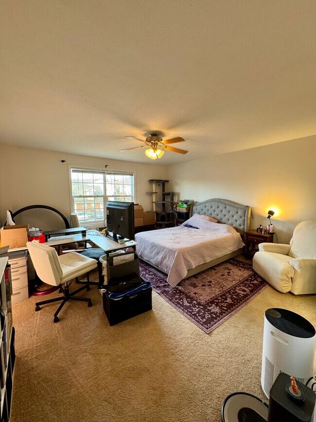 Building Photo - One Bedroom Apartment for Rent