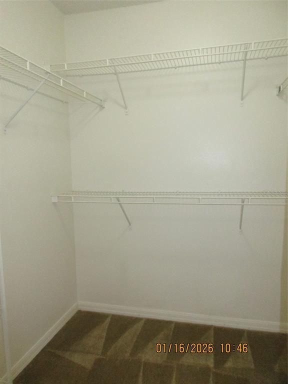 Building Photo - 2407 Marcasite Loop