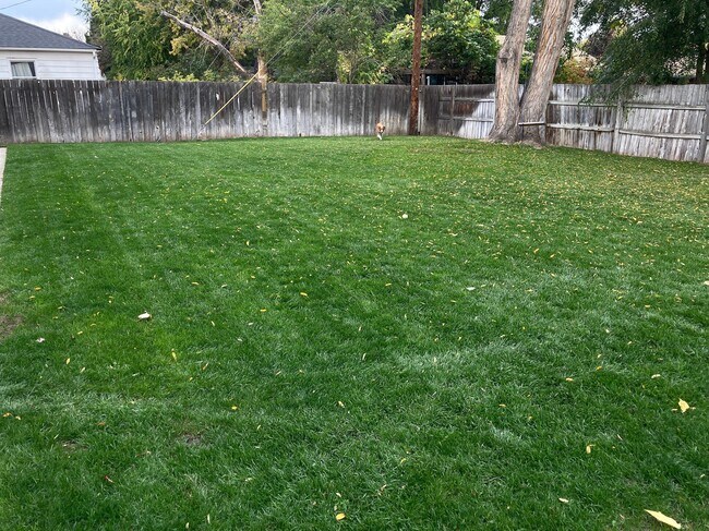 Building Photo - 905 N Mercer St