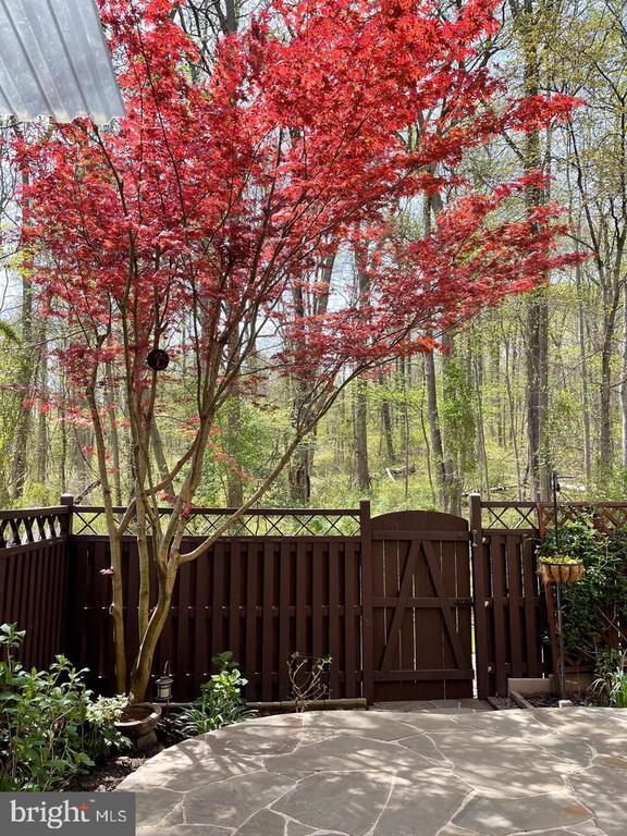 Building Photo - 6834 Deer Run Dr