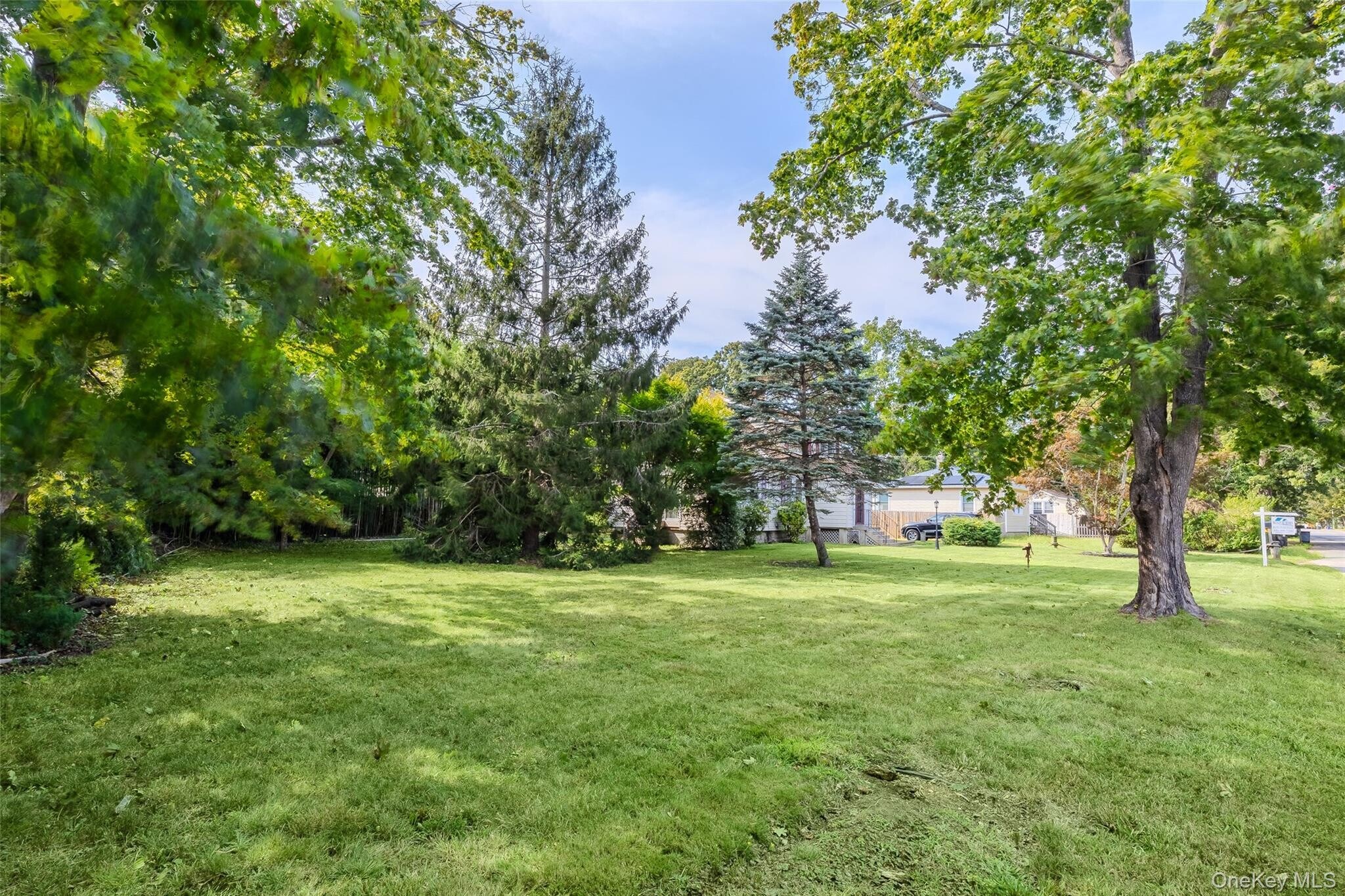 yard - 32 Whittier Dr