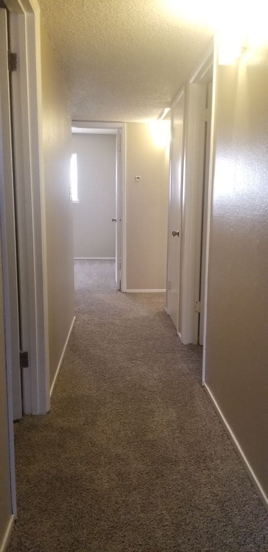 Building Photo - 3701 Halford Ct