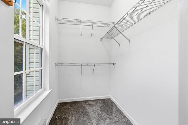Building Photo - 7420 Brunson Cir
