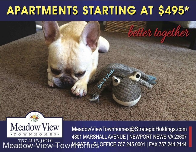 Building Photo - 4607 Rochester Ct