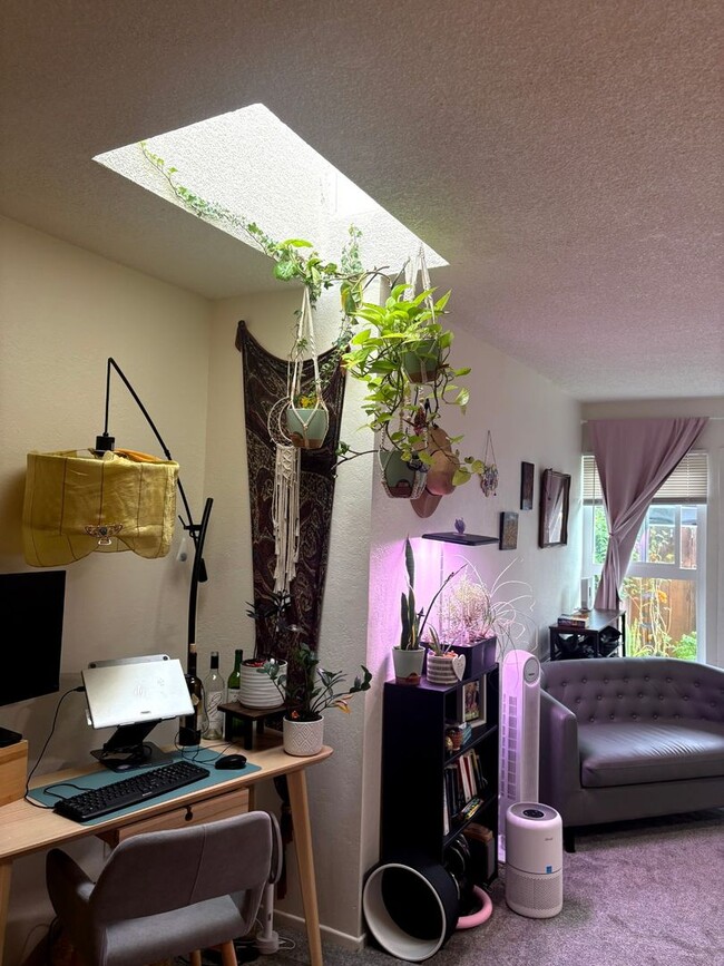 Building Photo - Newly Updated Studio In North Park