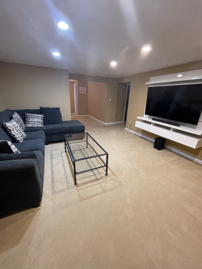 Basement Lounge - 21190 Vineland Sq