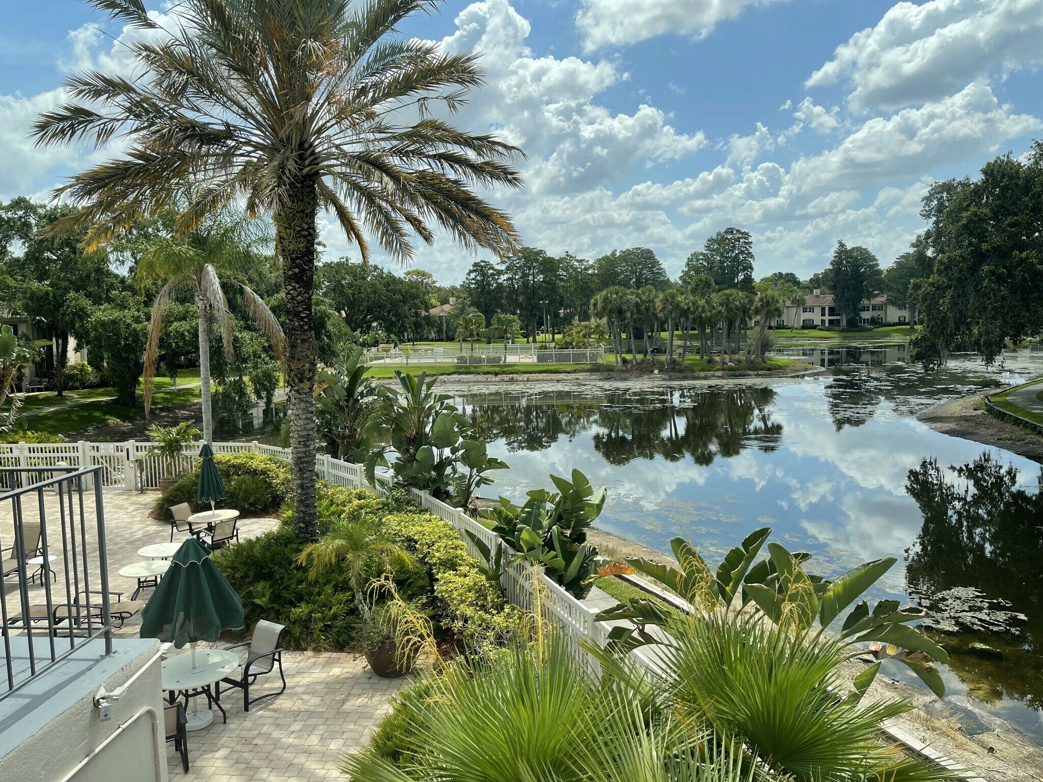 View from Gym - 10356 Carrollwood Ln