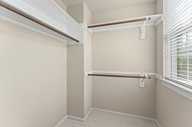 Building Photo - 10 Cayuga Pond Ct