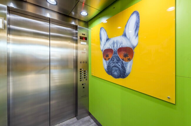 Building Photo - 1505 Commonwealth Ave