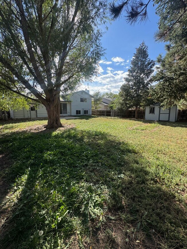 Building Photo - Lovely 3 bedroom 2 bath in North Colorado Springs