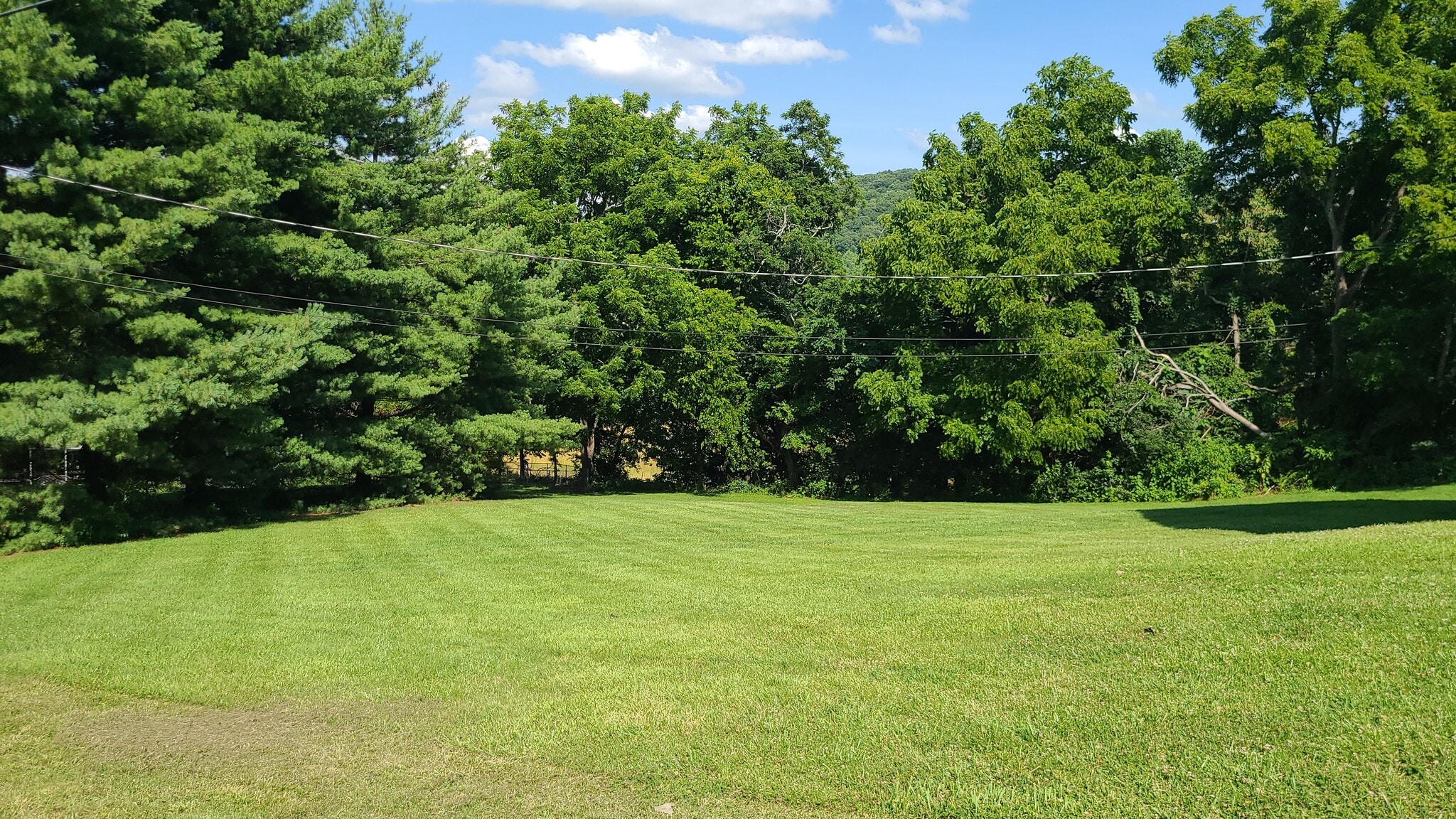 Backyard - 1526 Old Oak Ln