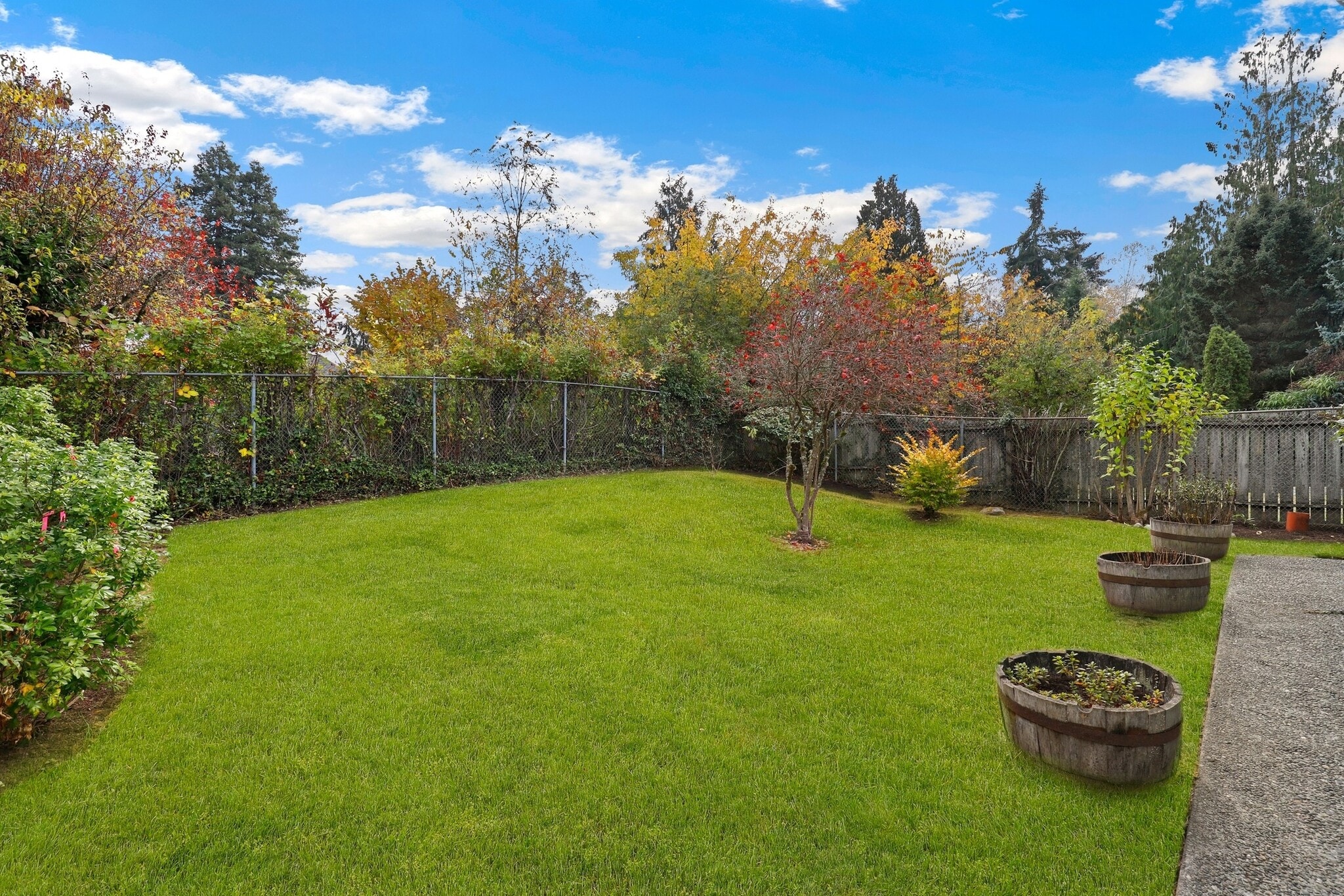 Side yard - 3601 NE 145th St