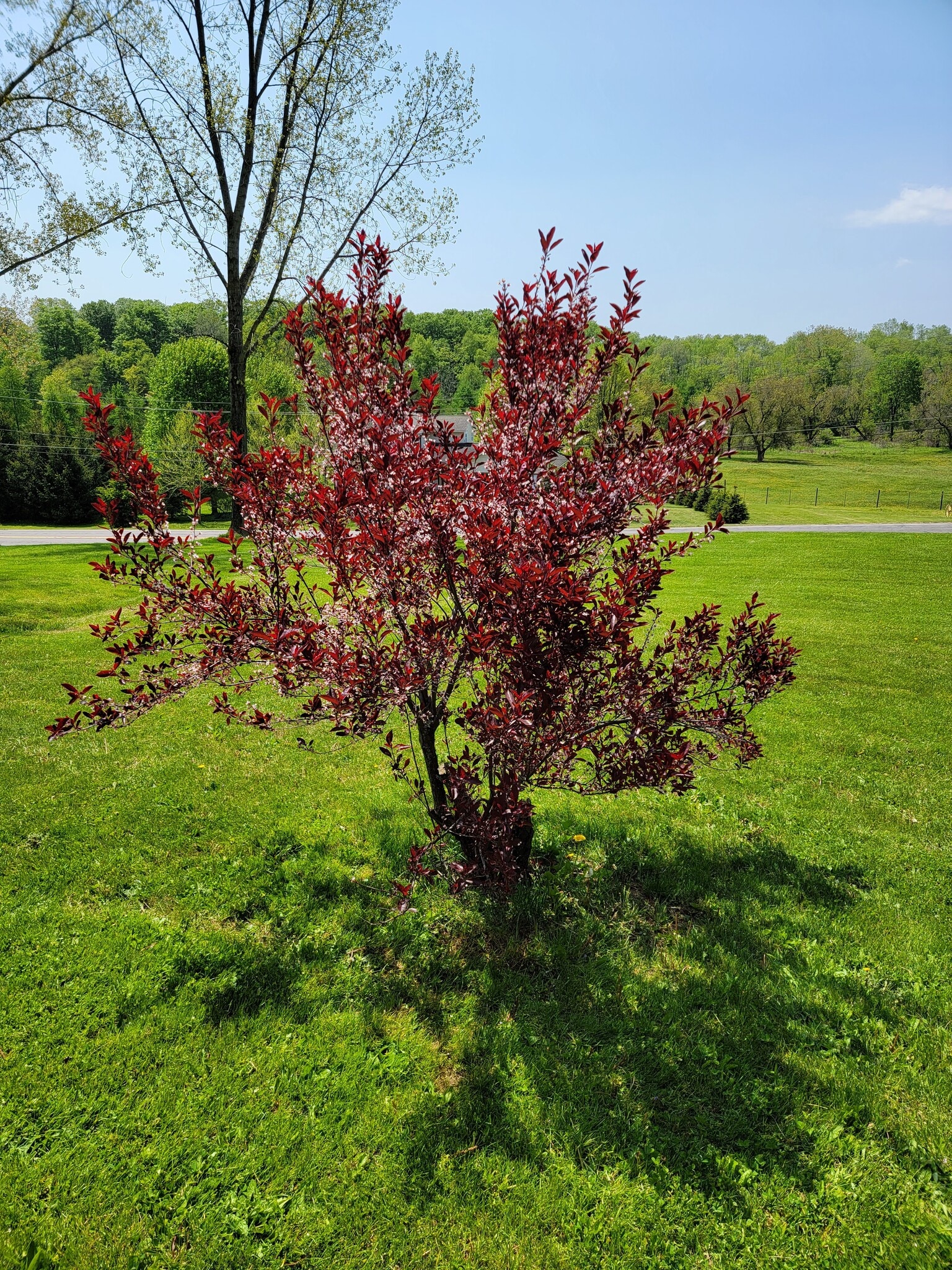 Building Photo - 4052 Quail Rdg