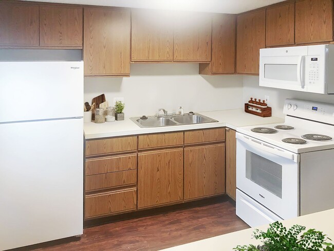 Building Photo - 4 Bedroom Single Family Home