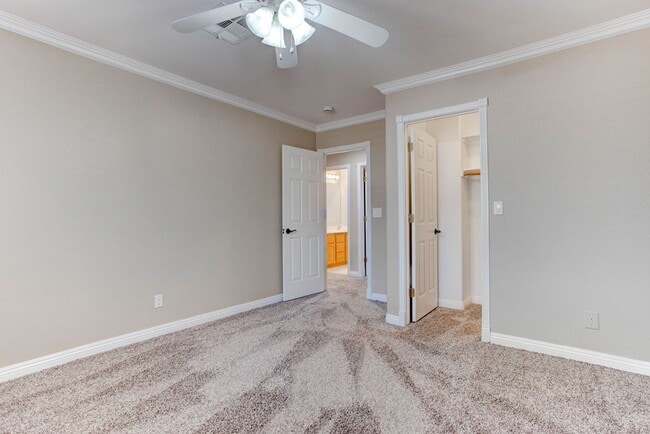Building Photo - 809 Royal Birch Ln