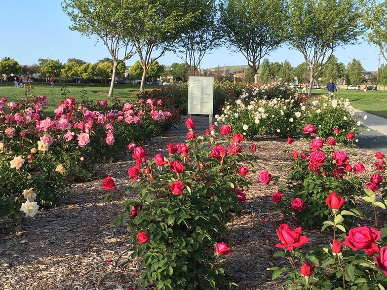 Building Photo - 4431 Bangor Ct