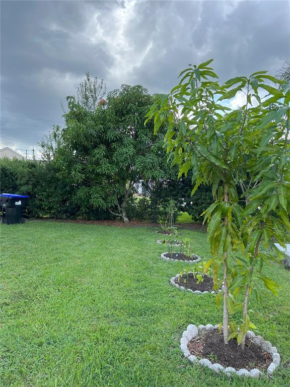 Building Photo - 12736 Newfield Dr