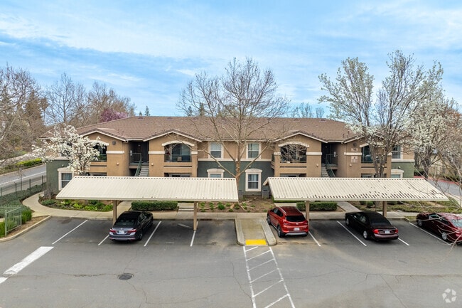 Alternative - The Rivers